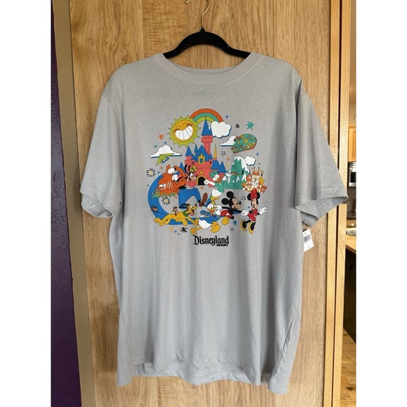 Disney Tops - Walt Disney World Play In The Park Gray Adult T-Shirt Size 3XL New